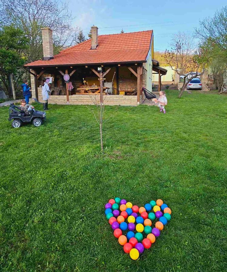 הוילה Besenovacki Prnjavor Fruska House מראה חיצוני תמונה
